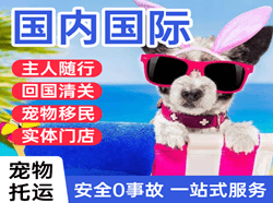 淮安涟水空运地址国际宠物托运 【国